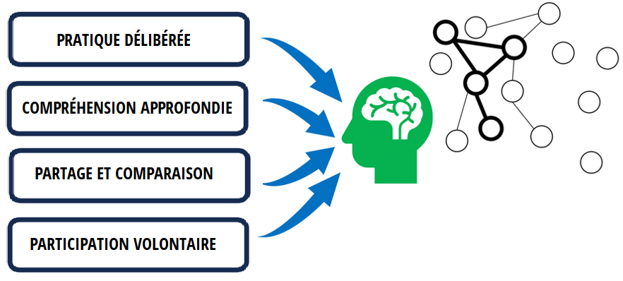 apprentissage des adultes