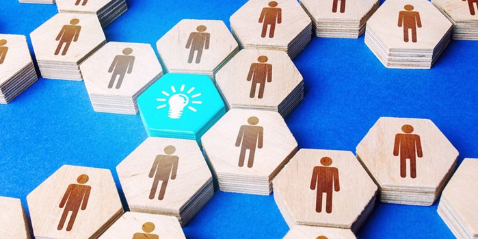 De l’intelligence individuelle à l’intelligence collective