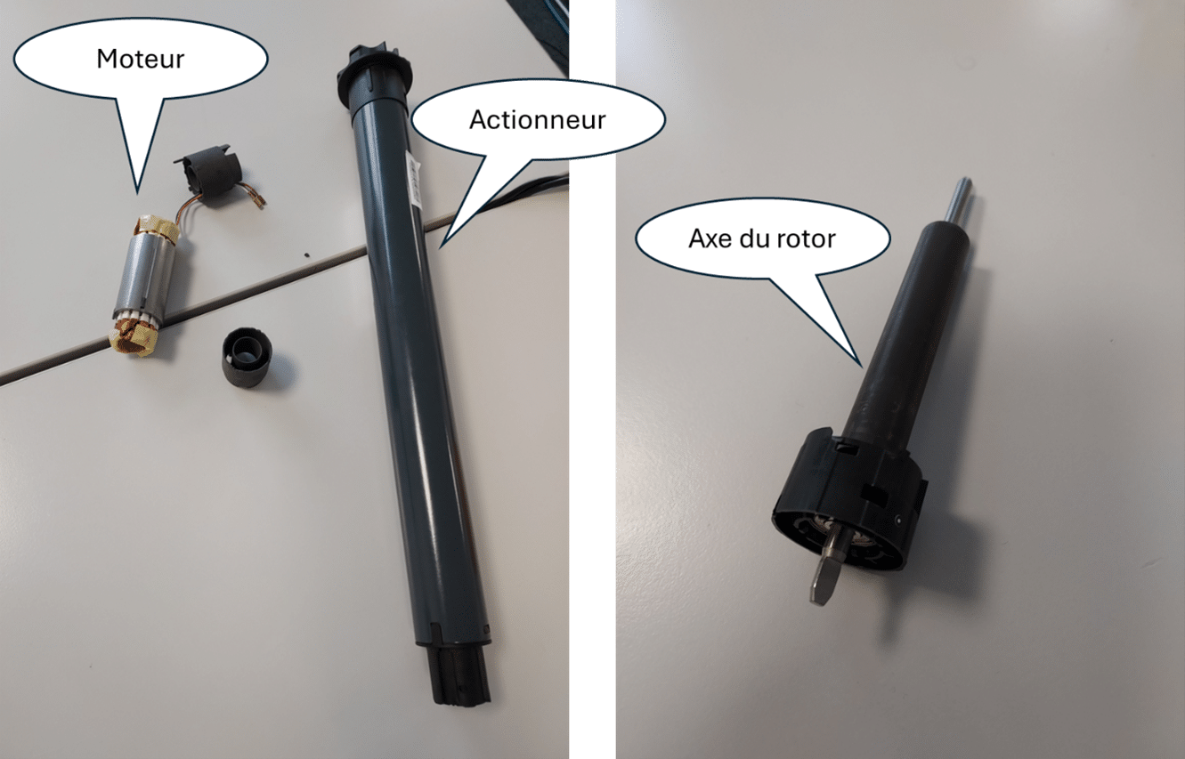 actionnur