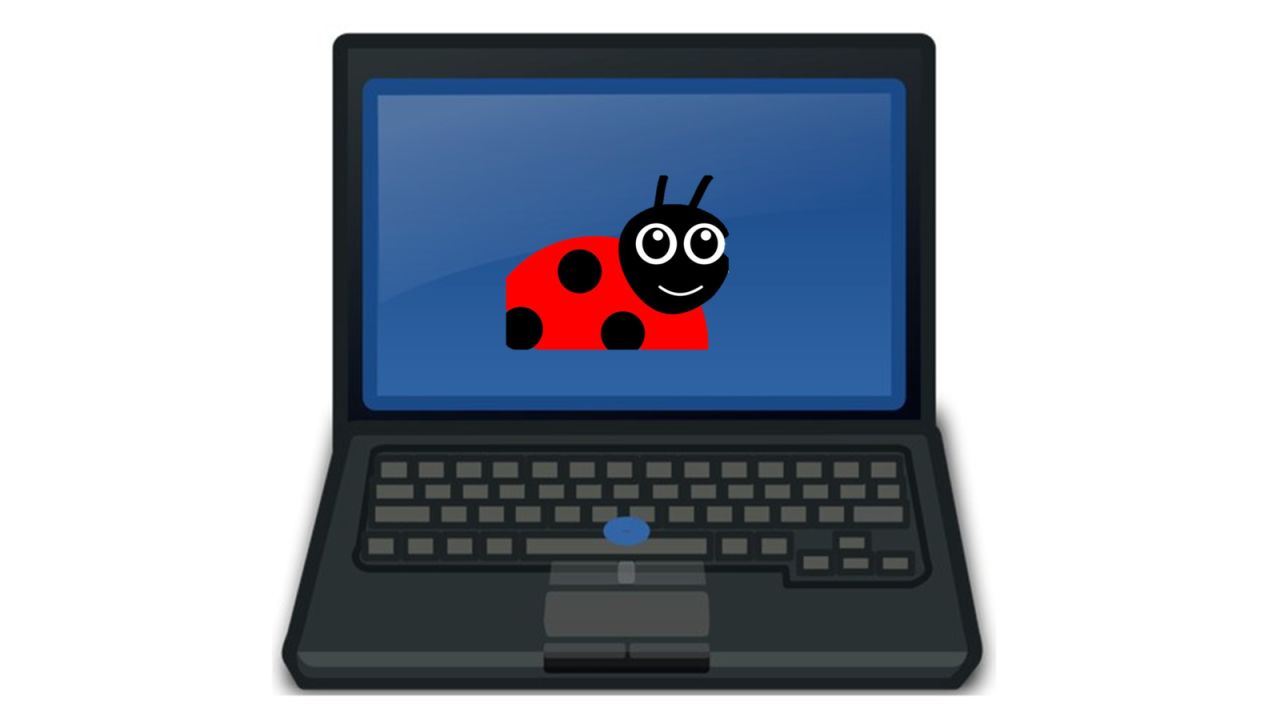 Zéro bug informatique ? C’est impossible ?